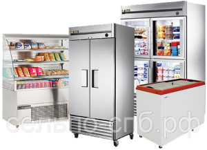 Холодильное оборудование для пищевой промышленности: выбор и покупка